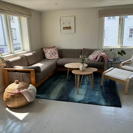 Romslig I Sentrum Med Egen Takterrasse Apartamento