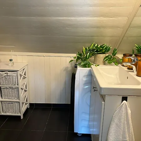 Romslig I Sentrum Med Egen Takterrasse Lägenhet