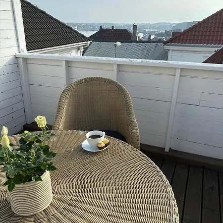 Romslig I Sentrum Med Egen Takterrasse Apartamento