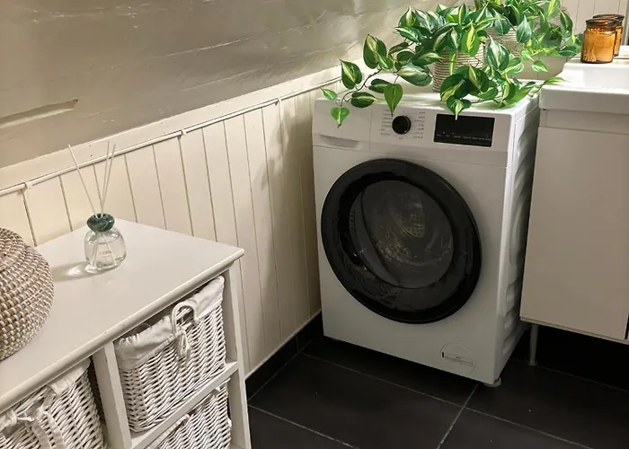 Lägenhet Romslig I Sentrum Med Egen Takterrasse *