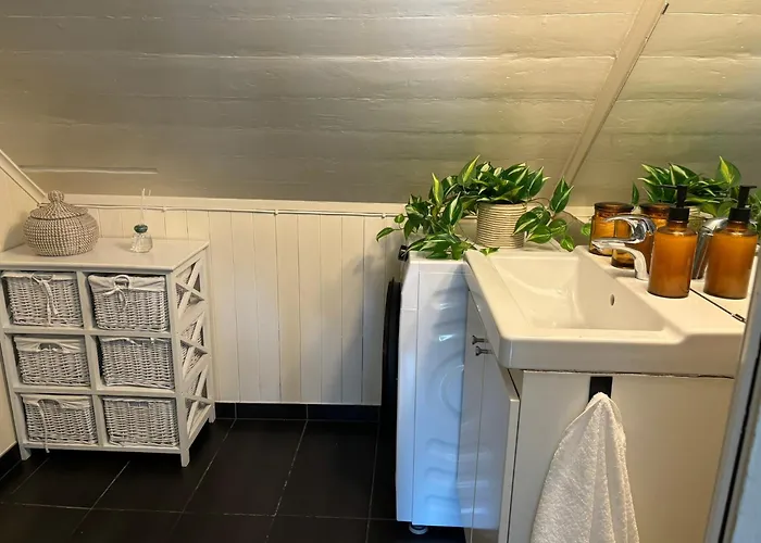 Romslig I Sentrum Med Egen Takterrasse Lägenhet